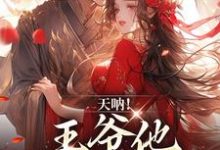 主角萧洛何姣姣小说完结版在线阅读,天呐!王爷他还在追妻免费看-红梅文学