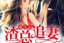 云桑夜靖寒是哪本书的主角?寻找重生后,渣总追妻火葬场免费阅读-红梅文学