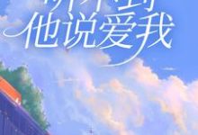 已完结小说《虐恋情深:听不到他说爱我》最新章节-红梅文学