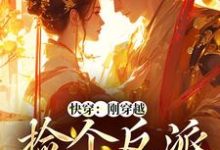 苏暖墨子渊是哪本书的主角?快穿:刚穿越,捡个反派当老公免费读-红梅文学