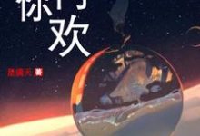 已完结小说《无你何欢》章节免费阅读-红梅文学