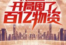 我，重生者，开局囤了百亿物资沐辰小说免费阅读-红梅文学