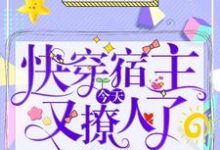时初的完整故事在哪里?读快穿宿主今天又撩人了小说-红梅文学