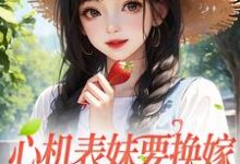 心机表妹要换嫁,我笑着同意小说完结了吗?在哪里可以免费读到?-红梅文学
