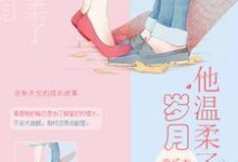 完结版《他温柔了岁月》章节目录在线阅读-红梅文学