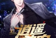 逍遥小神农小说的无弹窗阅读体验,寻找免费阅读网站-红梅文学