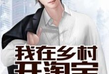 小说《我在乡村开淘宝》章节免费阅读-红梅文学