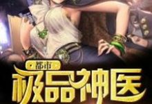 都市极品神医小说,都市极品神医在线阅读-红梅文学
