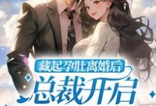 藏起孕肚离婚后,总裁开启跪妻模式温宛陆司衍小说在线章节目录阅读最新章节-红梅文学