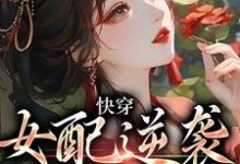 男女主人公沈帷秦书瑜小说快穿:女配逆袭专业户章节免费阅读-红梅文学