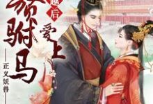 穿越后爱上入赘驸马这本小说怎么样？免费在线阅读试试-红梅文学