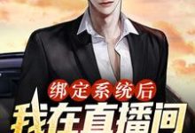 绑定系统后，我在直播间甩卖通缉犯小说完结了吗？在哪里可以免费读到？-红梅文学