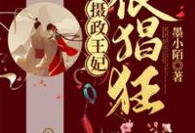 《摄政王妃很猖狂》全集免费在线阅读（叶初九墨千穆）-红梅文学