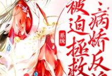 系统:被迫拯救病娇反派商徵羽司轻寒小说在线章节目录阅读最新章节-红梅文学