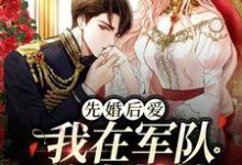 先婚后爱:我在军队养崽带娃这本小说完结了吗?免费查看最新章节-红梅文学