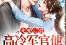 已完结小说《先婚后爱:高冷军官他又沦陷了》最新章节-红梅文学