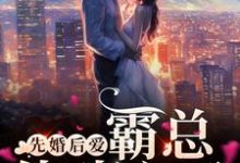 男女主人公叫靳寒渊陆安然的小说免费资源-红梅文学