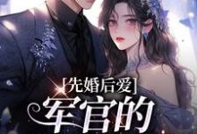 求先婚后爱:军官的绝世医妻小说免费资源-红梅文学