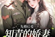 《先婚后爱:知青的娇妻太甜了》小说章节列表免费试读,顾清许小说在线阅读-红梅文学