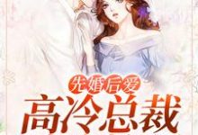 小说《先婚后爱,高冷总裁缠吻搂腰》章节免费阅读-红梅文学