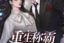 已完结小说《重生称霸娱乐圈》最新章节-红梅文学