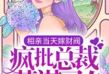求相亲当天嫁财阀,疯批总裁蓄谋已久小说免费资源-红梅文学