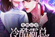 先婚后爱:冷酷霸总追妻路漫漫免费阅读,先婚后爱:冷酷霸总追妻路漫漫章节目录-红梅文学
