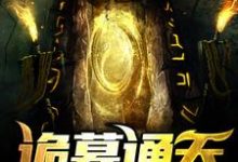 免费看诡墓通天小说的网站有哪些?-红梅文学
