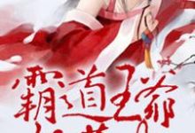 霸道王爷妖孽妃小说,霸道王爷妖孽妃在线阅读-红梅文学