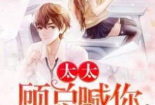 太太,顾总喊你生二胎小说的免费电子版在哪里可以下载或阅读?-红梅文学