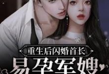 重生后闪婚首长,易孕军嫂养崽忙小说全文阅读需要付费吗?寻找免费资源-红梅文学