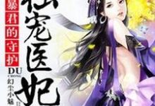 暴君的守护:独宠医妃小说的最新章节在哪里更新?免费追踪阅读-红梅文学