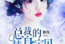 总裁的替身宝贝小说有没有完结版在线?-红梅文学