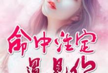 男女主人公向安若徐轩欧阳浩泽小说命中注定遇见你章节免费阅读-红梅文学