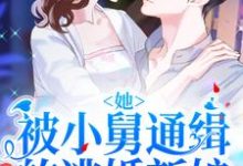 她!被小舅通缉的逃婚新娘小说完结了吗?在哪里可以免费读到?-红梅文学