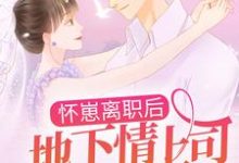 怀崽离职后，地下情上司让我转正了小说的无弹窗阅读体验，寻找免费阅读网站-红梅文学