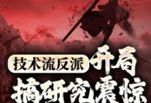 求推荐可以免费阅读技术流反派:开局搞研究震惊万界主角小说的网站-红梅文学