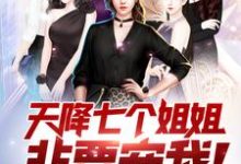 天降七个姐姐非要宠我！王术莫向晚白吟霜沈冰小说在线章节目录阅读最新章节-红梅文学