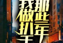 我做扒手那些年小武唐大脑袋,我做扒手那些年最新章节-红梅文学