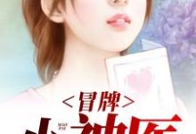 《冒牌小神医》全集免费在线阅读(江许纪晓雁)-红梅文学