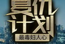 聂哲为主角的小说好看吗?求复仇计划:最毒妇人心免费试读-红梅文学