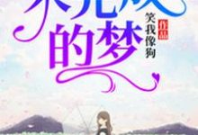 未完成的梦小说最新章节在哪里可以读到?-红梅文学