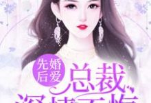 先婚后爱:总裁,深情不悔沈若水厉牟炀,先婚后爱:总裁,深情不悔在线无弹窗阅读-红梅文学