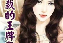 想读叶萧张雪瑶顾菲菲唐糖的故事,哪里可以免费找到女总裁的王牌高手?-红梅文学