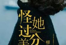 怪她过分美丽小说的最新章节在哪里更新?免费追踪阅读-红梅文学