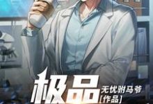 极品全能神医这本小说怎么样?免费在线阅读试试-红梅文学