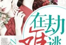 在劫难逃免费阅读,在劫难逃章节目录-红梅文学