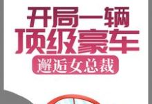 完结版《开局一辆顶级豪车,邂逅女总裁》章节阅读-红梅文学