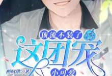 主人公叫苏允儿时宴的小说顶流不装了,这团宠小可爱我要了在线阅读章节-红梅文学