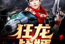 狂龙战婿免费阅读,狂龙战婿叶尘陆凌霜靓坤马巧兰-红梅文学